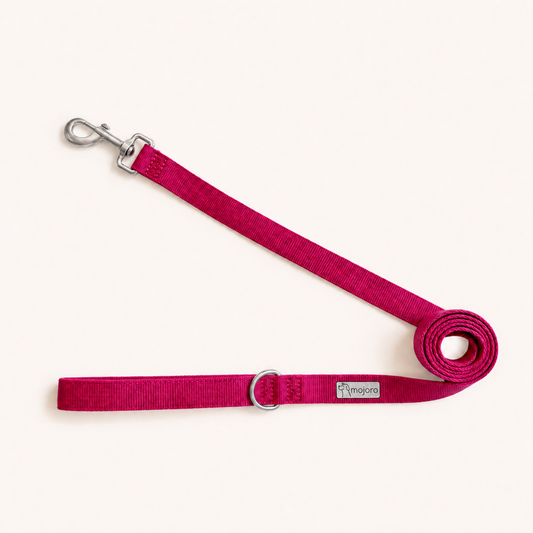 Clifton Dog Leash
