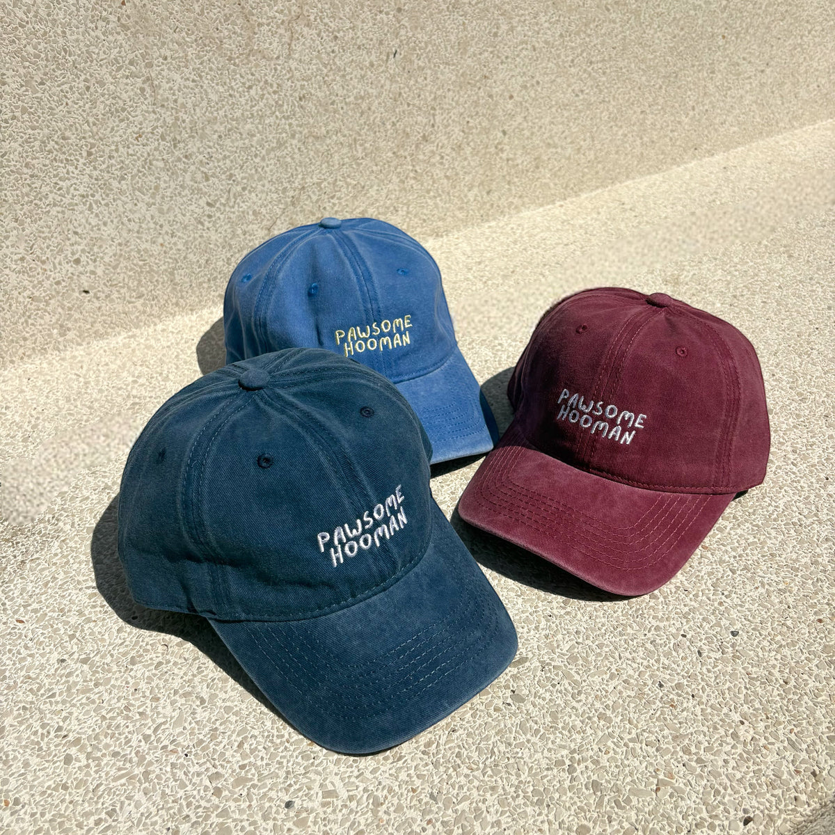 Pawsome Hooman Washed Cap