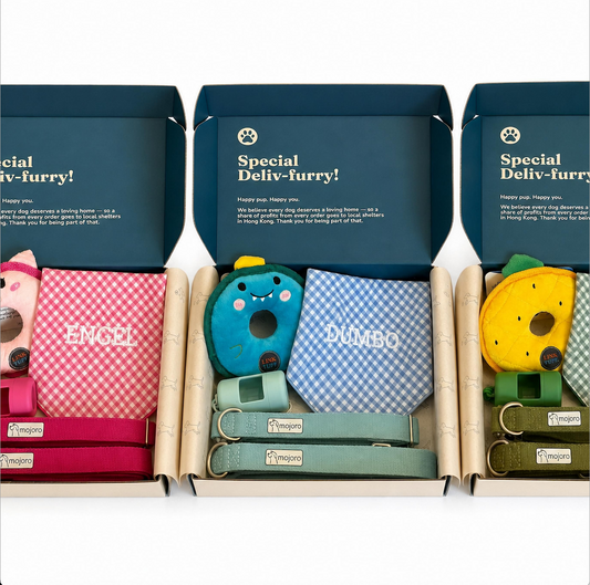 The Pawfect Gift Box