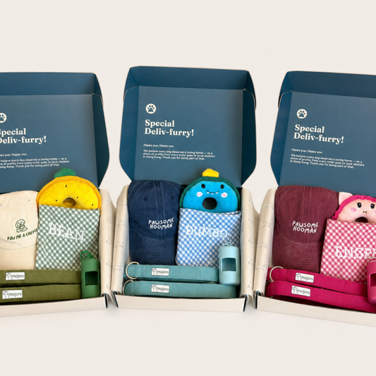 The Pawfect Twinning Gift Box