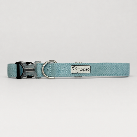Clifton Dog Collar