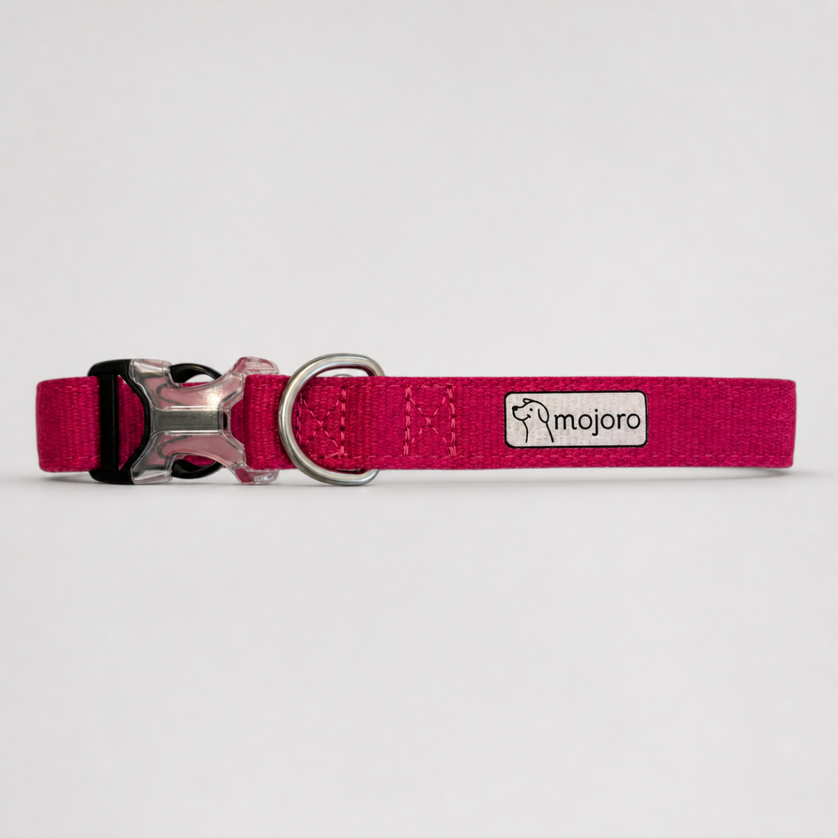 Clifton Dog Collar