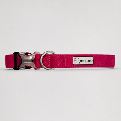 Clifton Dog Collar