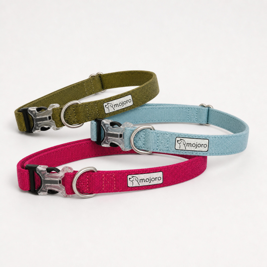 Clifton Dog Collar